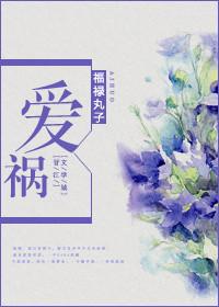 爱祸福禄丸子讲什么内容