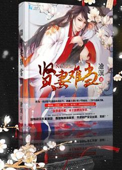 贤妻良母难为女尊大西免费阅读