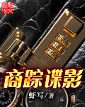 商踪谍影 最新章节 无弹窗