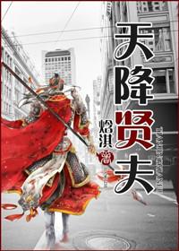 穿越天降贤淑男晋江
