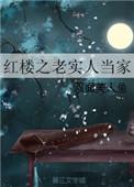 红楼之老实人当家184 狂风暴雨之夜