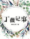 丁薇记事阅读