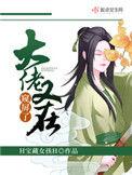 大佬又在做低伏小