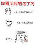 你看见我的鸟了吗晋江