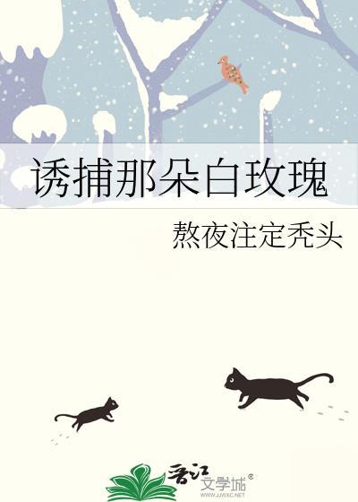 诱捕那朵白玫瑰作者熬夜注定秃头