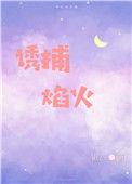 诱捕焰火完整版晋江