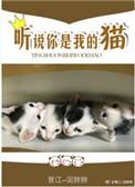听说你是我的猫 番外