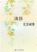 魂修简介