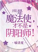 综是魔法使才不是召唤师