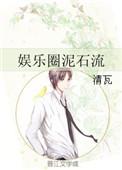 娱乐圈泥石流晋江