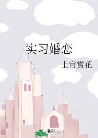 实习婚恋by上官赏花