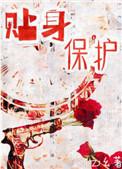 贴身保护桃之夭讲的什么