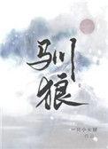 驯狼西瓜椰椰