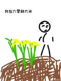 六零年大米多少钱一斤