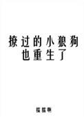 撩过的小狼狗也重生了番外在线观看