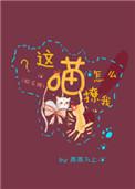 这喵怎么撩我车