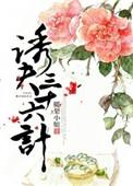 诱夫36计免费阅读全文