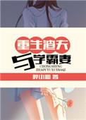 重生渣夫与学霸妻醉小仙