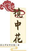 镜中花水中月歌词