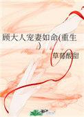 顾大人角色介绍