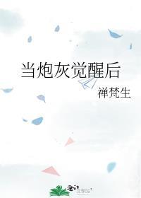 当炮灰觉醒后晋江