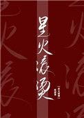 星火滚烫TXT百度资源