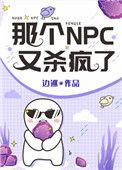 那个npc又杀疯了20