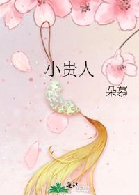 小贵人txt
