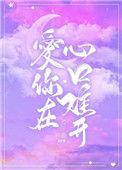 爱你在心口难开dj版
