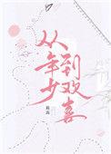 从年少到欢喜全本