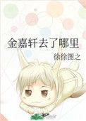 金嘉轩去了哪里txt 云盘