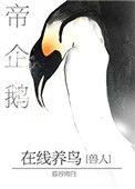 帝企鹅在线养鸟 by 慕容离白
