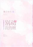 王者24年年总