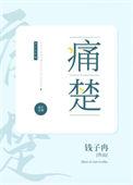 痛楚经年上一句
