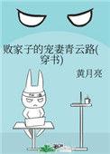 败家子的宠妻青云路(穿书) 作者黄月亮