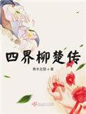 四界柳楚传讲的是什么