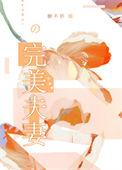 完美夫妻全集观看