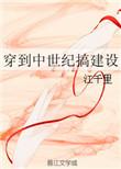 穿到中世纪搞建设讲的什么