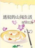 逃奴的山间生活无弹窗版