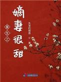 重生之嫡妻再嫁