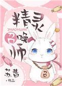 精灵召唤师完结