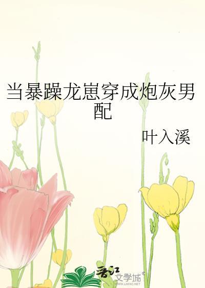 当暴躁直男穿成