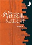 我在黑夜见过太阳