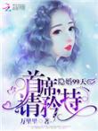隐婚总裁请签字全文在线阅读
