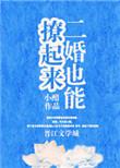 二婚也精彩