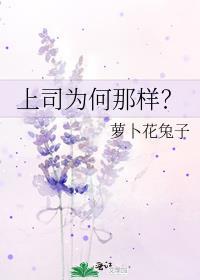 上司为何那样?