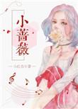 小蔷薇TXT百度
