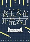 老王不在开荒去了讲什么