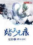 踏天无痕这本书怎么样