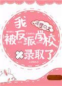 我被反派学校录取了番外txt
